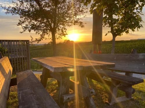 Outdoor Pictures 22
