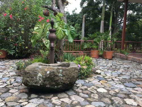 Outdoor Pictures 24