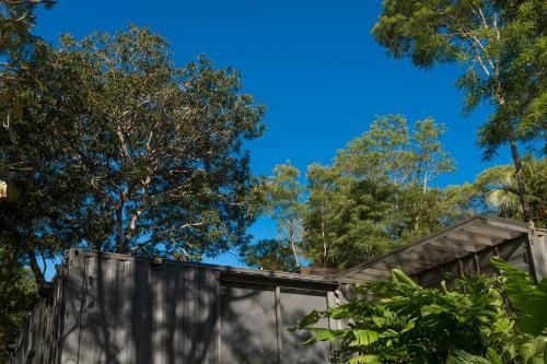 Outdoor Pictures 13