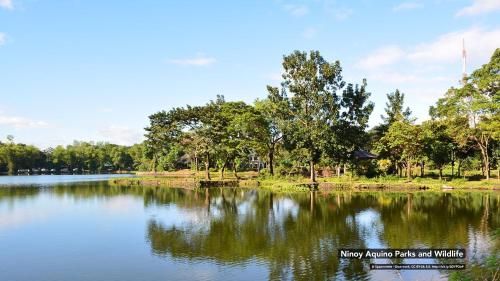 Outdoor Pictures 20