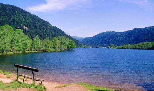 Outdoor Pictures 24