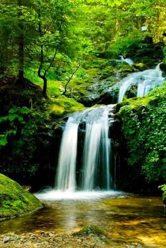 Outdoor Pictures 19