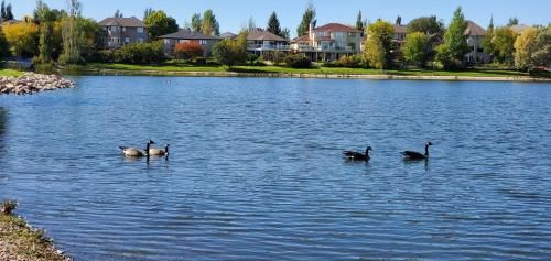 Outdoor Pictures 23