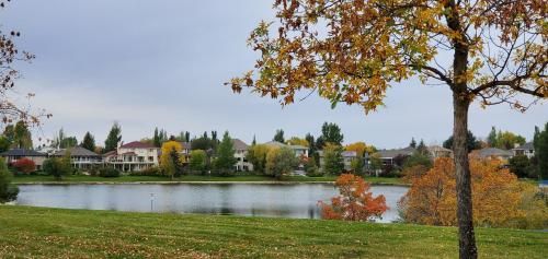 Outdoor Pictures 20
