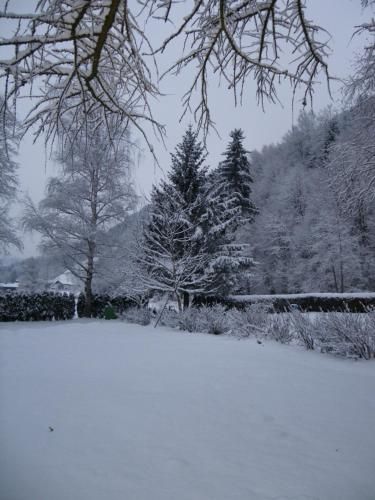 Outdoor Pictures 13