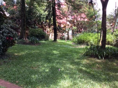 Outdoor Pictures 15