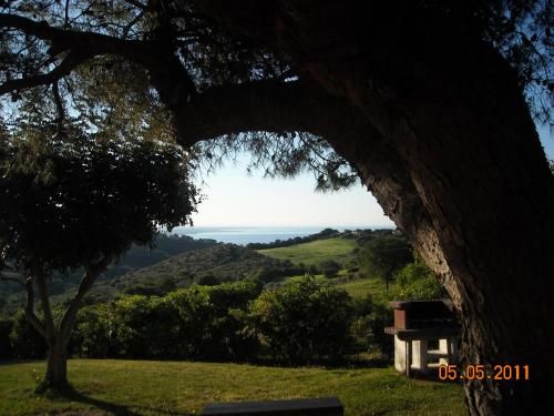 Outdoor Pictures 8