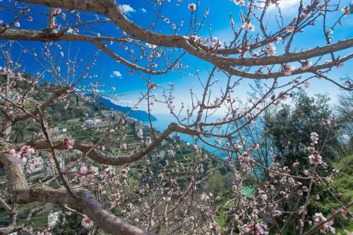 Outdoor Pictures 20