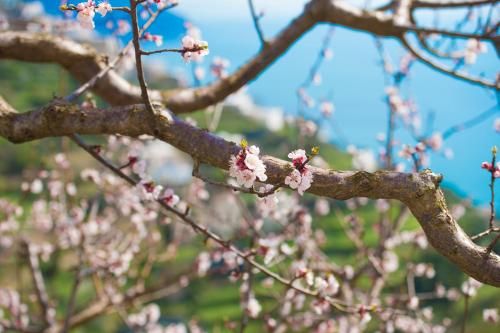 Outdoor Pictures 21