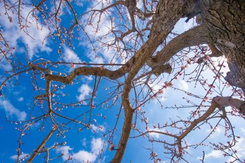 Outdoor Pictures 22