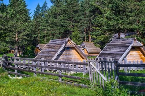 Outdoor Pictures 15