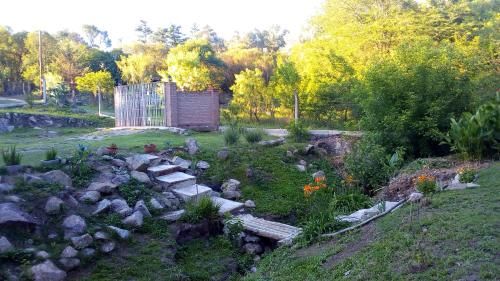 Outdoor Pictures 15