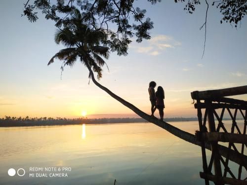 Outdoor Pictures 8