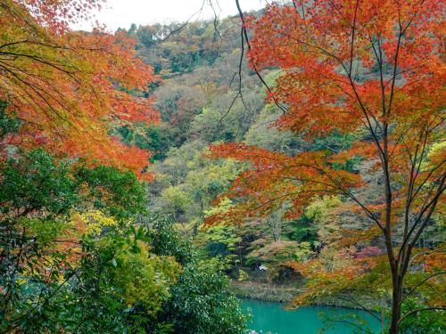 Outdoor Pictures 21