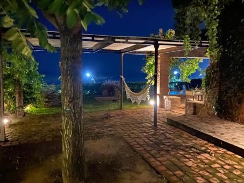 Outdoor Pictures 24
