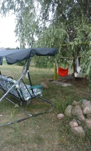 Outdoor Pictures 9