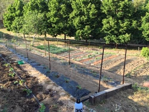 Appartement de 2 chambres avec jardin amenage et wifi a Moltifao