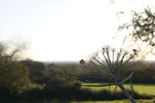 Outdoor Pictures 4