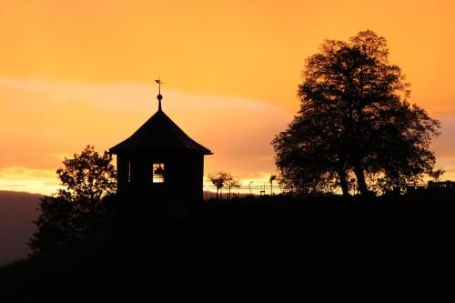 Outdoor Pictures 13