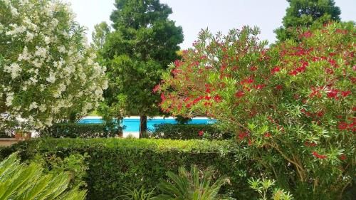 Studio with shared pool and wifi at Muro Leccese