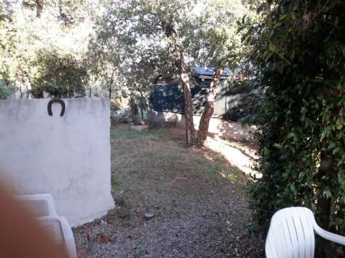 Outdoor Pictures 9