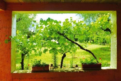 Outdoor Pictures 14