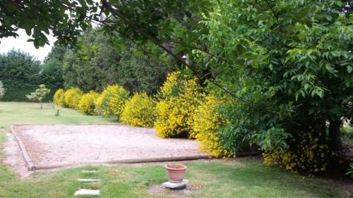 Outdoor Pictures 14