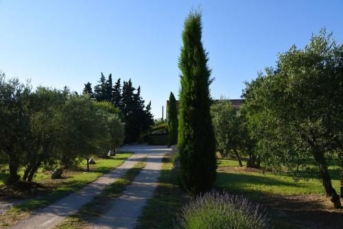 Outdoor Pictures 11