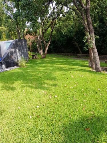 Outdoor Pictures 7