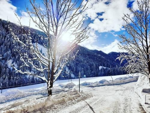 Outdoor Pictures 24