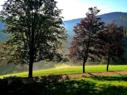 Outdoor Pictures 20