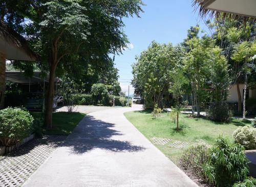 Outdoor Pictures 10