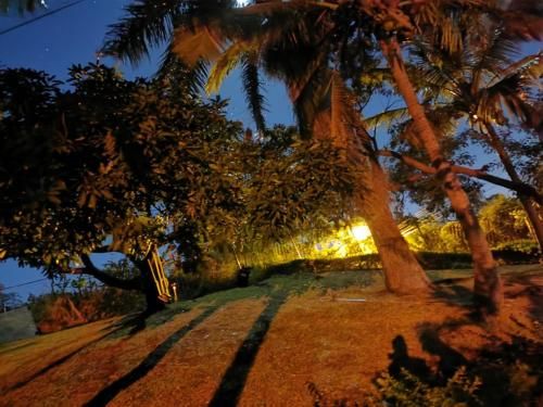 Outdoor Pictures 20