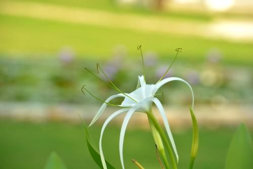 Outdoor Pictures 4