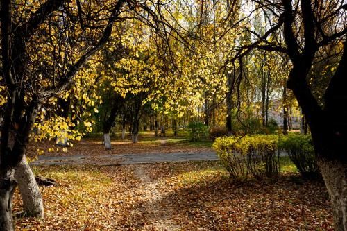 Outdoor Pictures 8