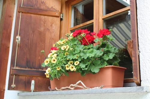 Outdoor Pictures 19