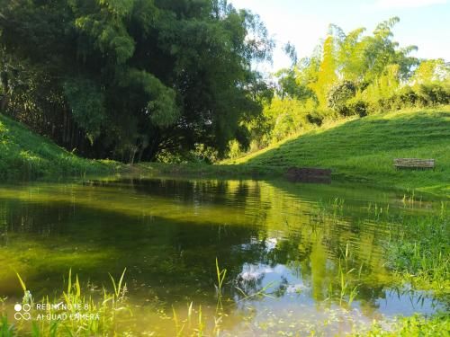 Outdoor Pictures 17