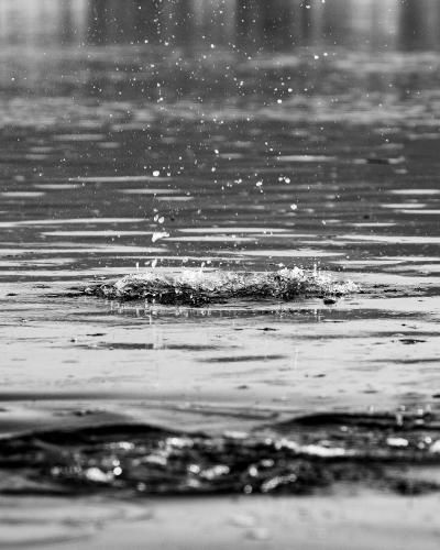Outdoor Pictures 8