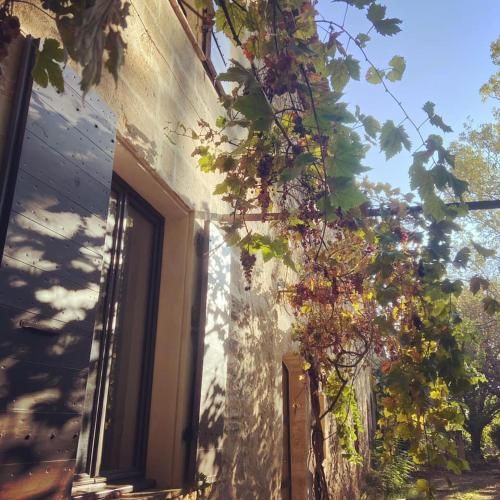 Domaine Cap Rubis