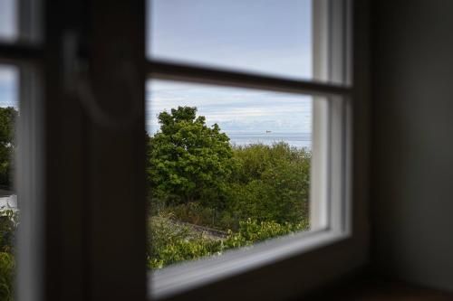 Outdoor Pictures 19