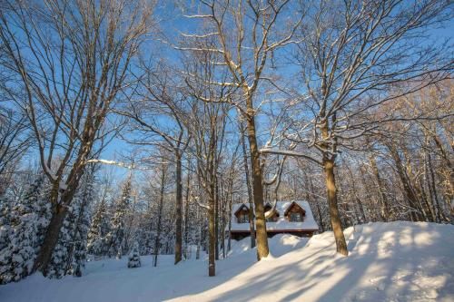 Outdoor Pictures 20