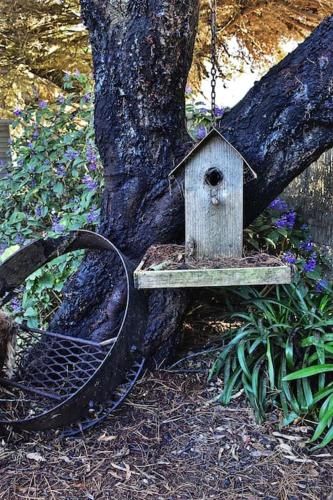 Outdoor Pictures 24