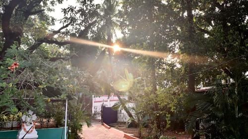 Outdoor Pictures 22