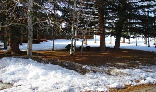 Outdoor Pictures 20