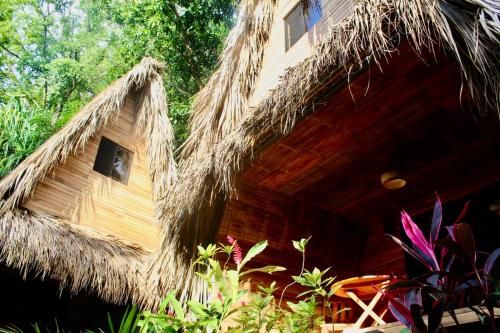 Buena Onda Bungalows