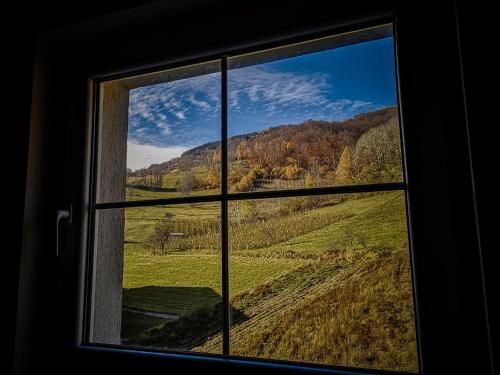 Outdoor Pictures 5