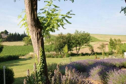 Outdoor Pictures 21