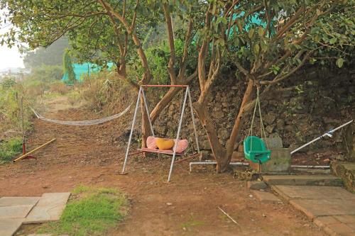 Outdoor Pictures 2