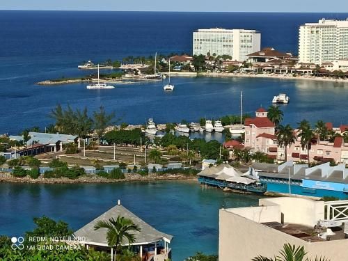 Outdoor Pictures 11