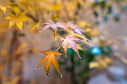 Outdoor Pictures 12